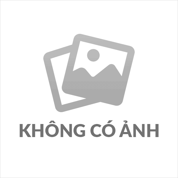 ĐẠI HỘI CHI BỘ MẦM NON PHÙNG HƯNG NHIỆM KỲ 2022-2025
